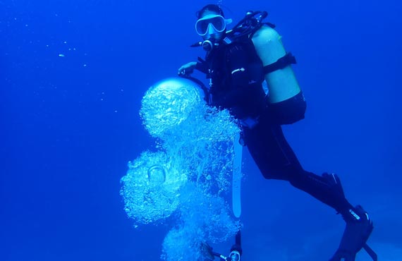 Diving in the Argolida